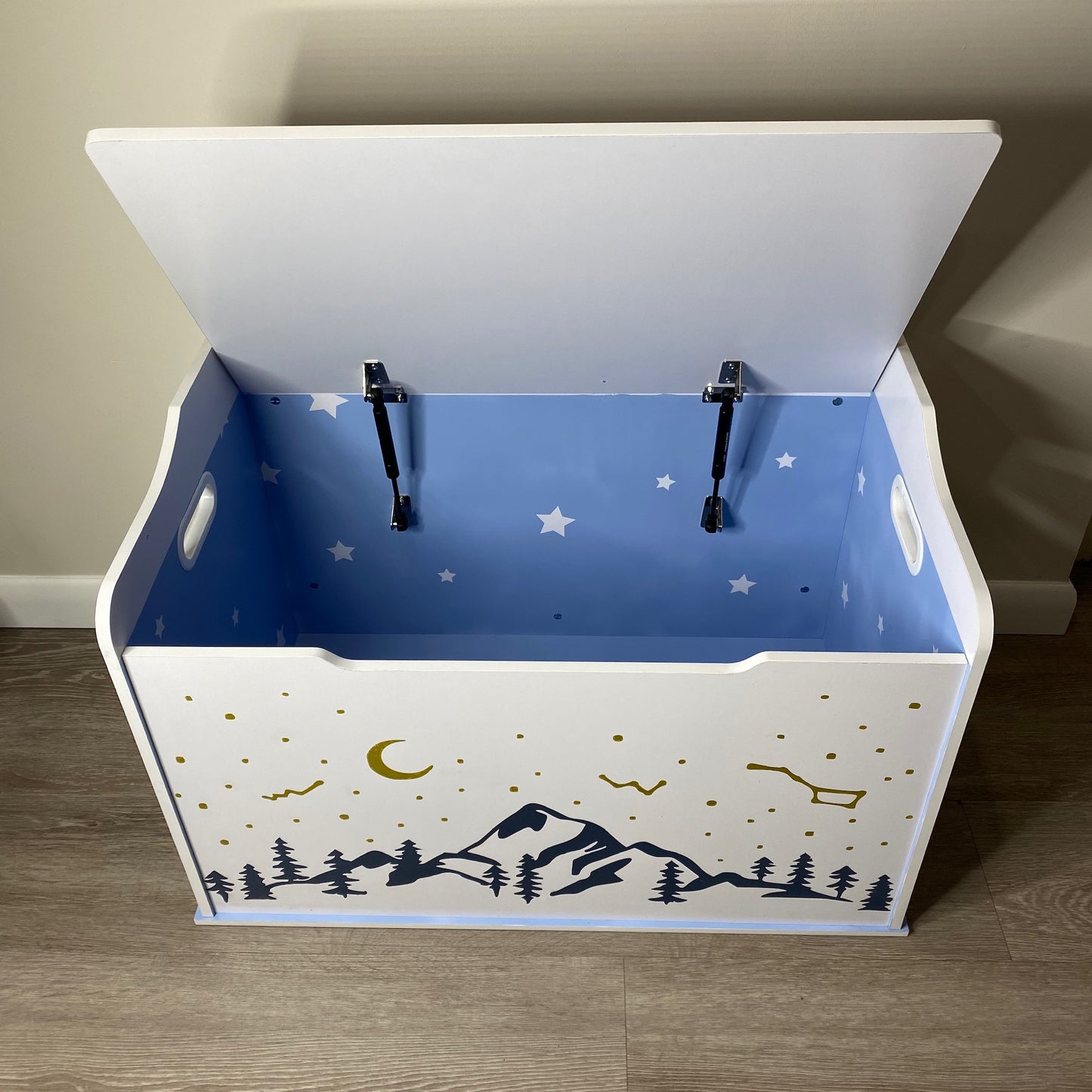 Toy Chest